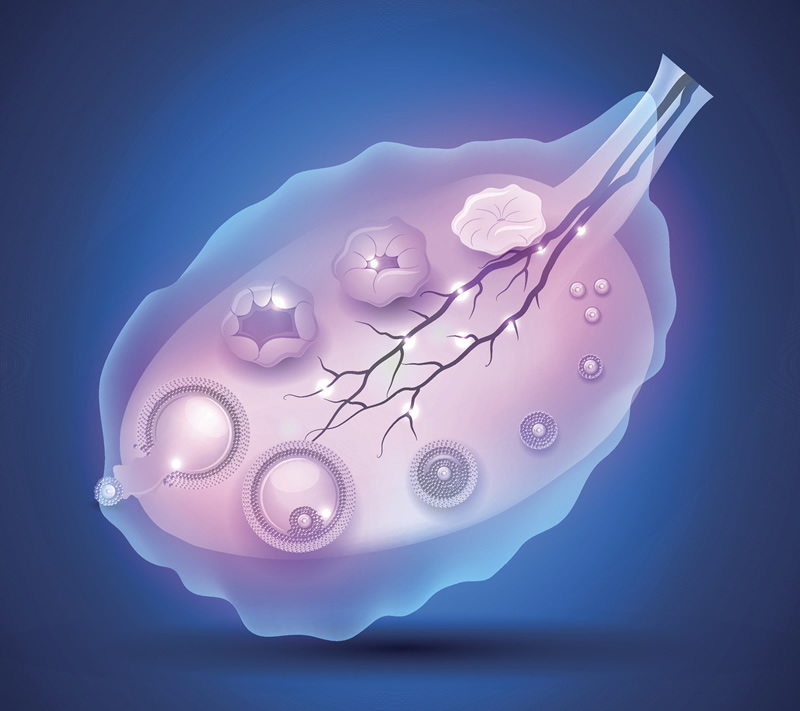 2026年重庆试管婴儿医院排名前十强：聚焦胚胎不着床难题，附专家团队与内膜调理攻略